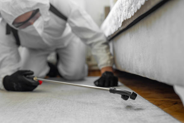 Professional Mosquito Control technician working in Midlothian, TX