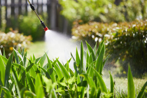24/7 Emergency Mosquito Control experts in Midlothian, TX