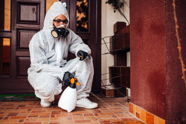 Reliable Mosquito Control contractor in Midlothian, TX by Nex Pest Control